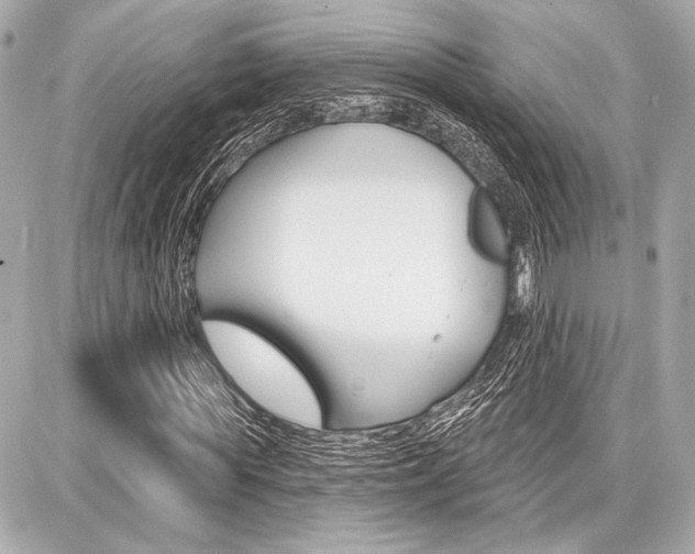 X0000087740819200705070924