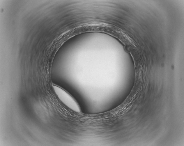 X0000087740821200705070924