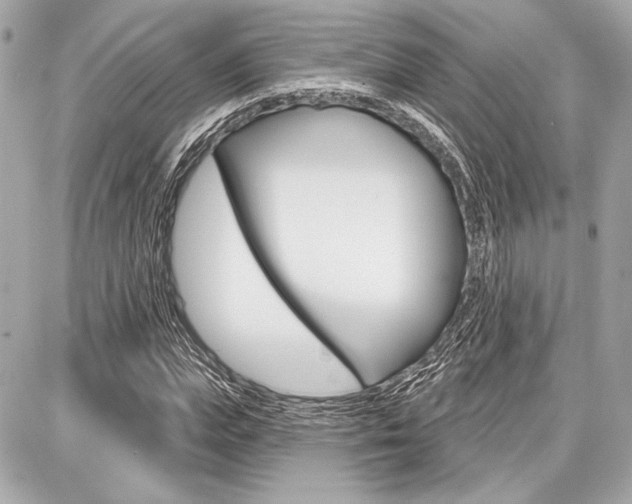 X0000087740823200705070924