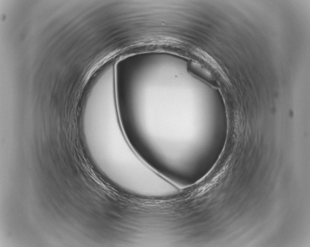X0000087740826200705070924
