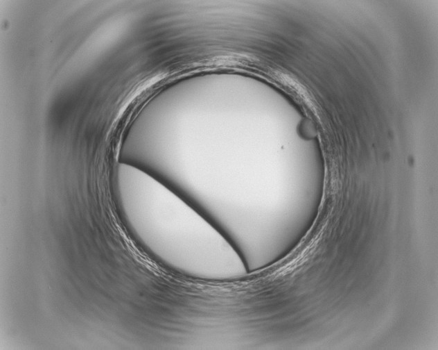 X0000087740827200705070924