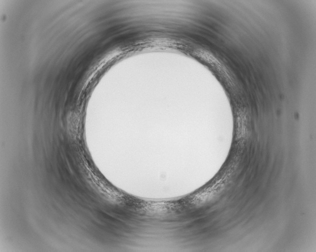 X0000087740828200705070924