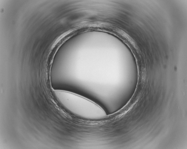 X0000087740829200705070924