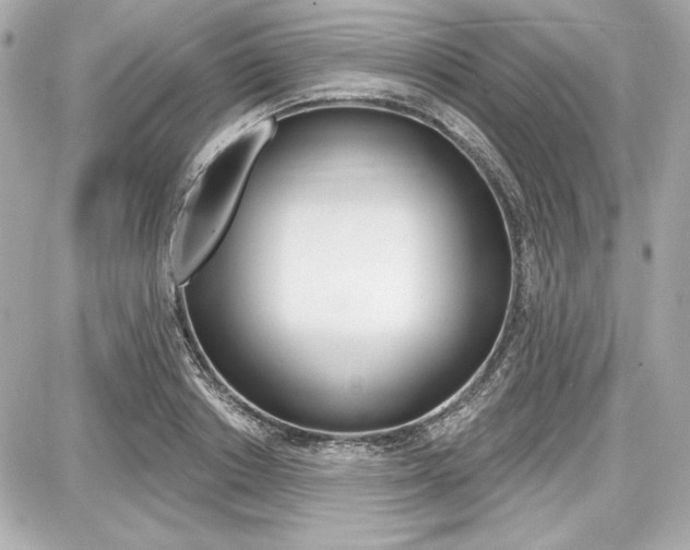X0000087740842200705070924