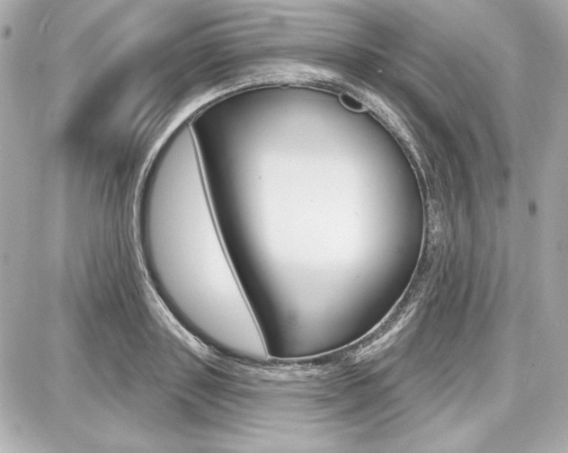 X0000087740843200705070924