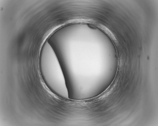 X0000087740844200705070924