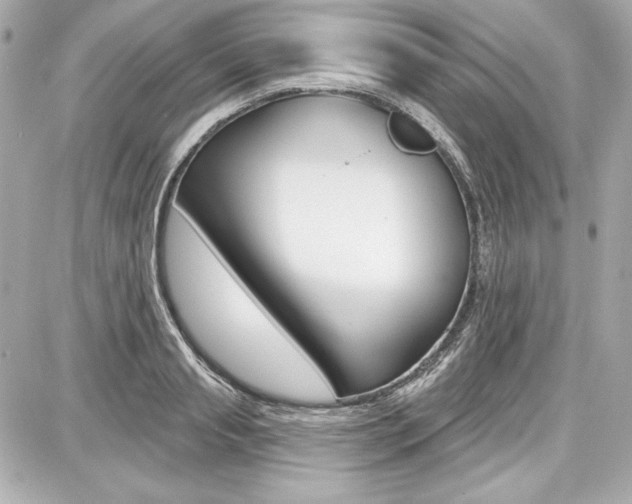 X0000087740845200705070924