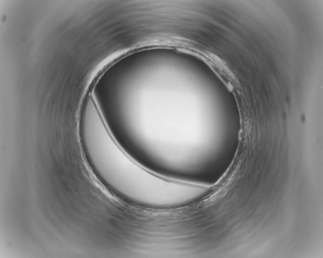 X0000087740846200705070924