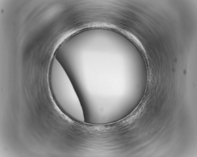 X0000087740847200705070924