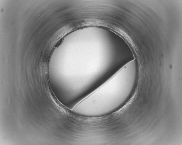 X0000087740849200705070924