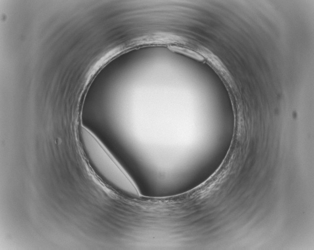 X0000087740850200705070924