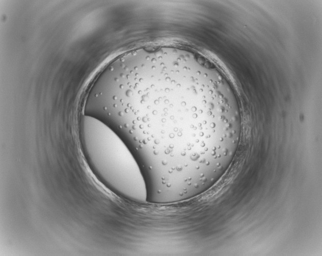 X0000087740851200705070924