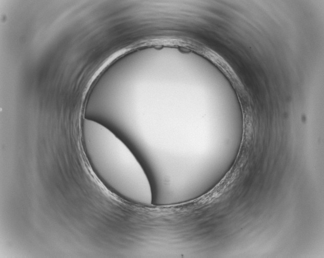 X0000087740852200705070924