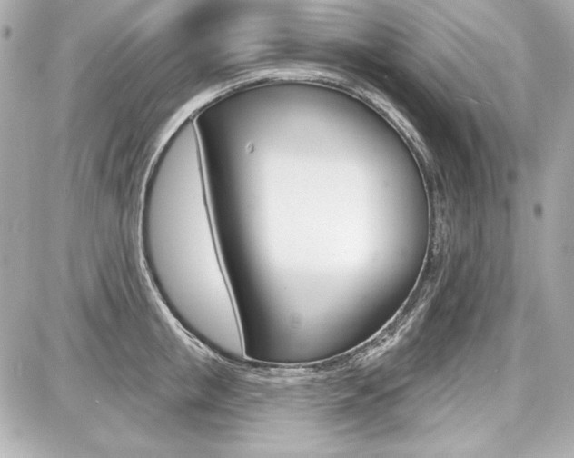 X0000087740853200705070924