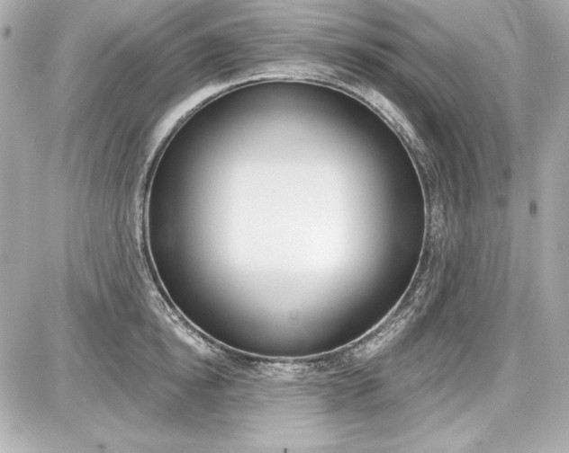 X0000087740854200705070925