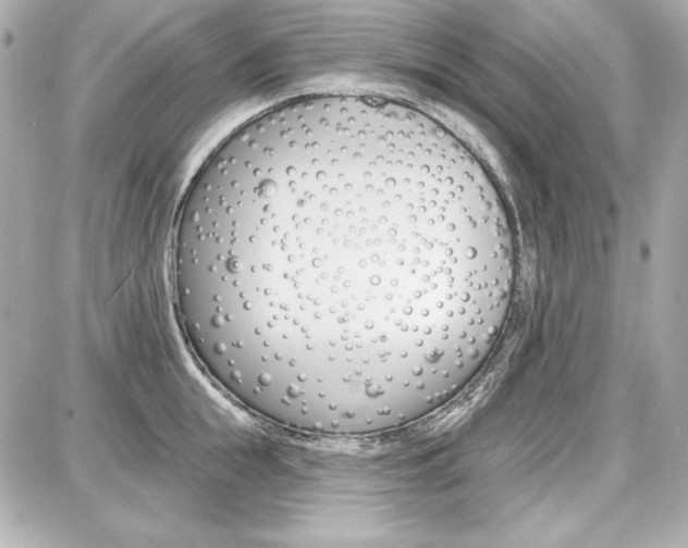 X0000087740855200705070925