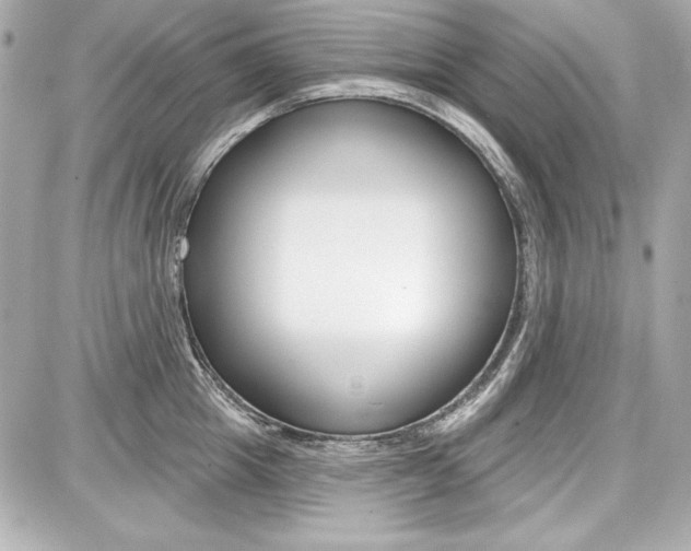 X0000087740857200705070925
