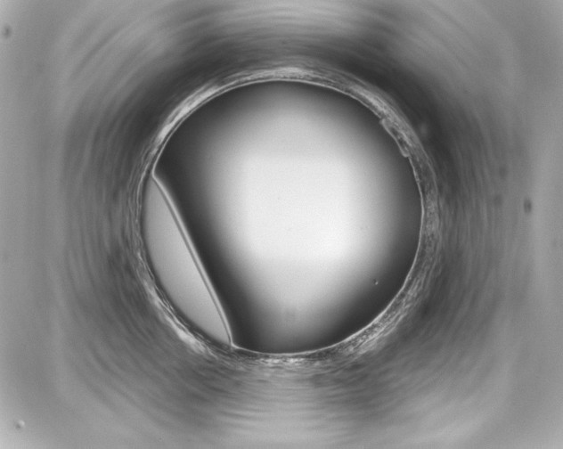 X0000087740858200705070925