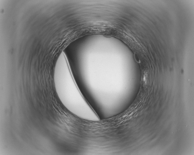 X0000087740867200705070924