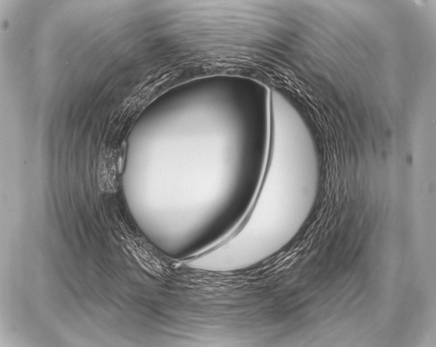 X0000087740868200705070924