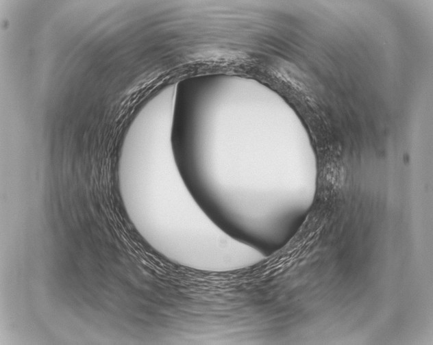 X0000087740869200705070924