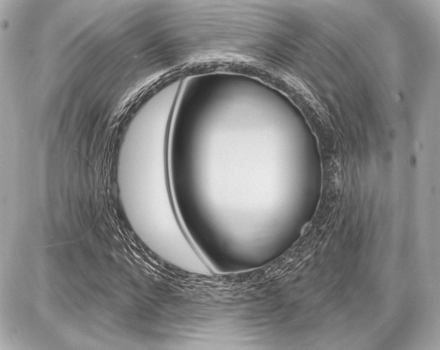 X0000087740872200705070924