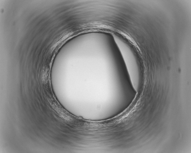 X0000087740873200705070924