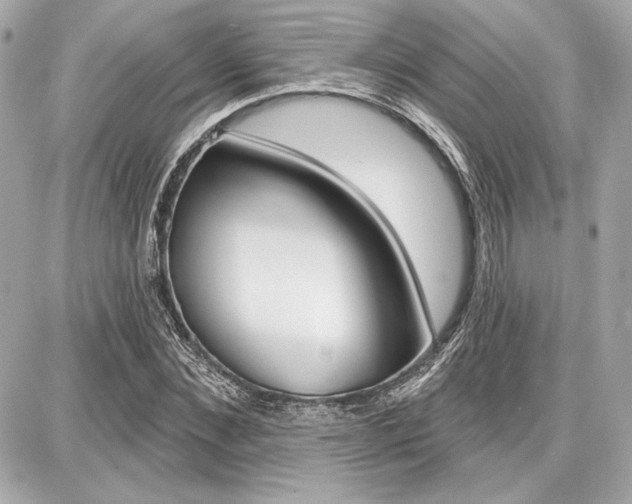 X0000087740876200705070924