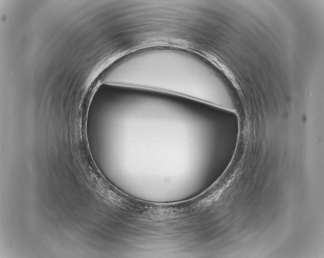 X0000087740877200705070924
