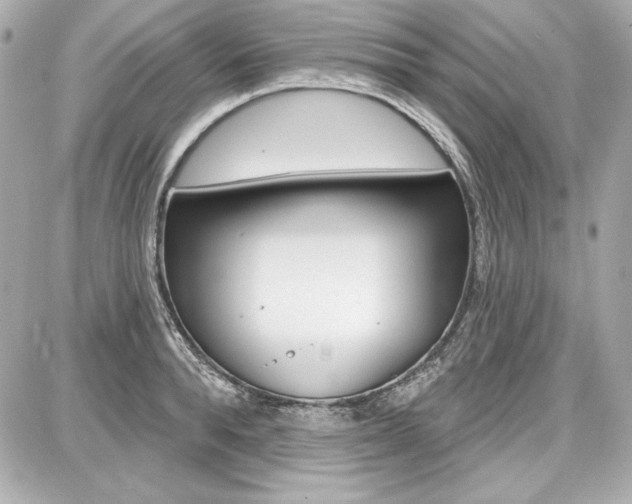 X0000087740896200705070923