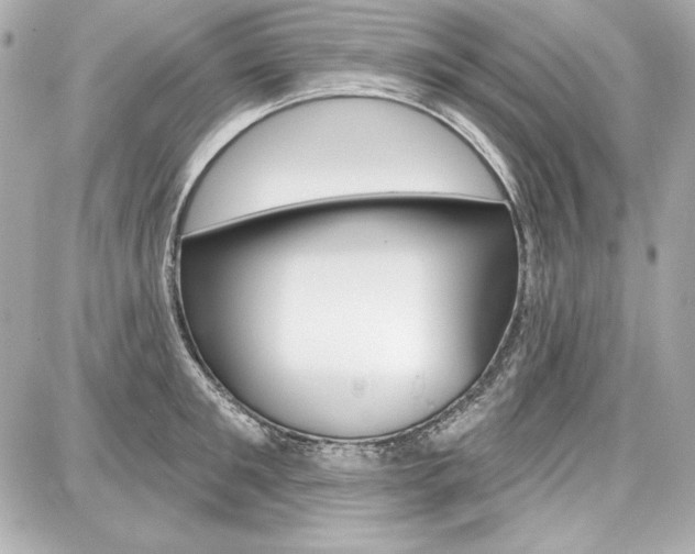 X0000087740901200705070923
