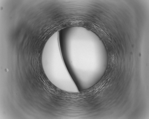 X0000087740914200705070922