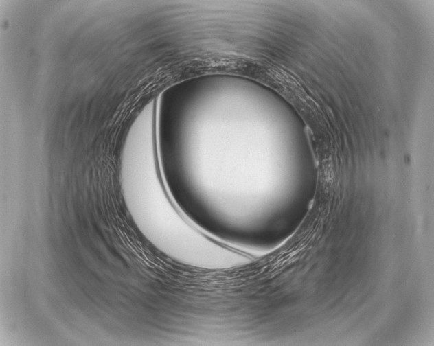 X0000087740916200705070922