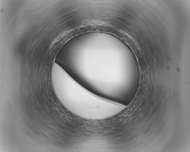 X0000087740919200705070922