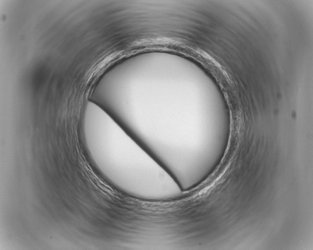 X0000087740921200705070922