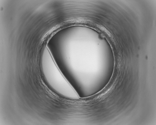 X0000087740922200705070923