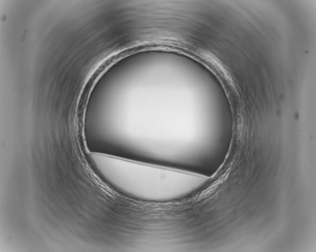 X0000087740924200705070923