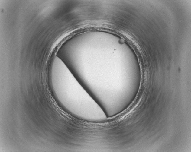 X0000087740925200705070923