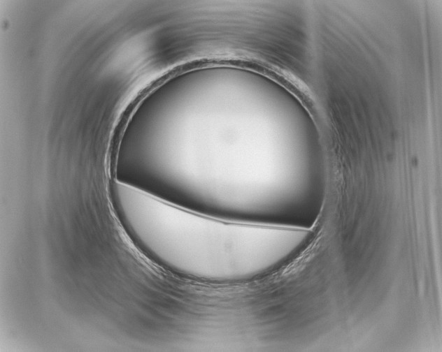 X0000087740935200705070923