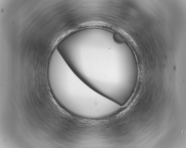 X0000087740937200705070923
