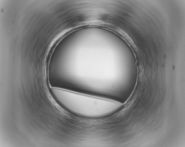 X0000087740939200705070923