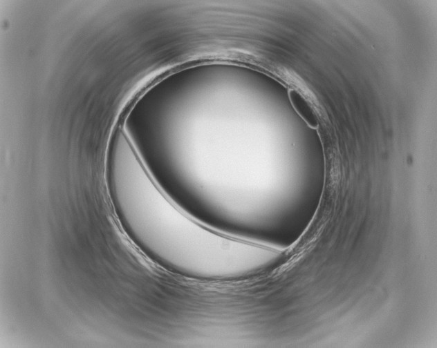X0000087740940200705070923
