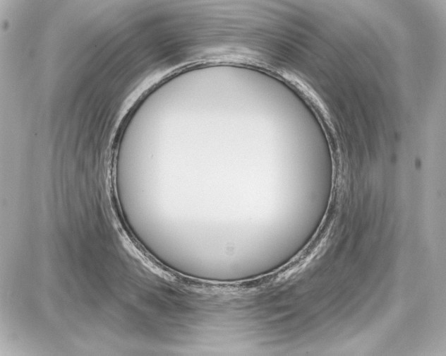 X0000087740941200705070923
