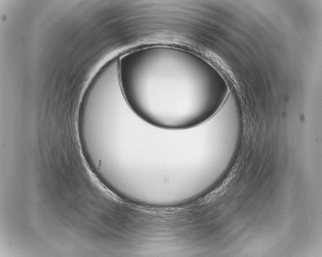 X0000087740942200705070923