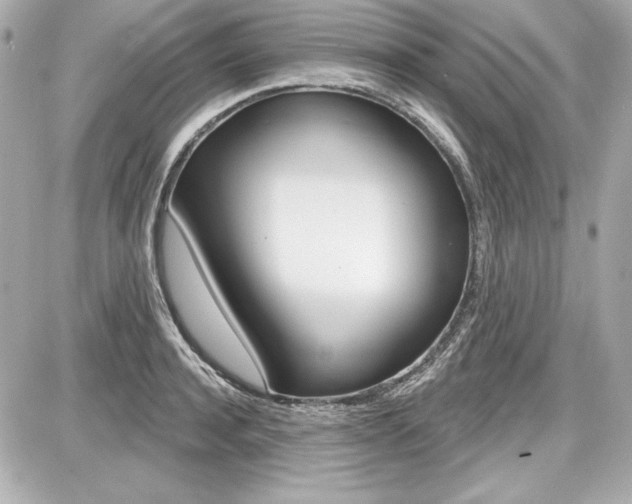 X0000087740944200705070923