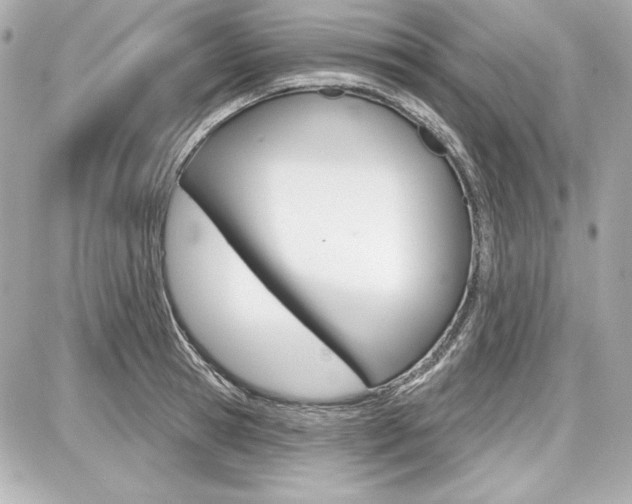 X0000087740945200705070923
