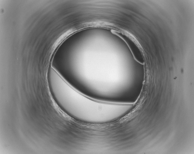 X0000087740946200705070923