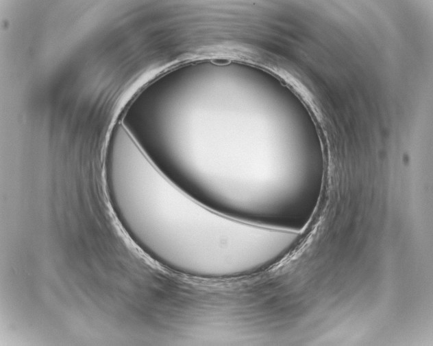 X0000087740949200705070923