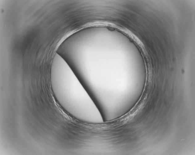 X0000087740953200705070923