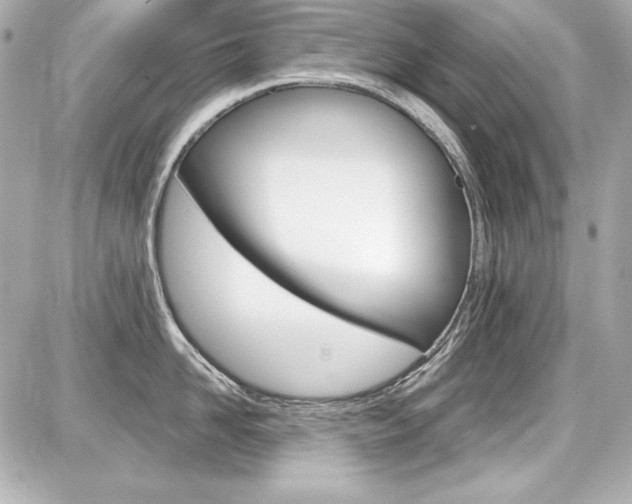 X0000087740958200705070923